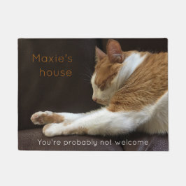 Tapete Gato que dorme no sofá