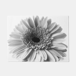 Tapete Gerbera