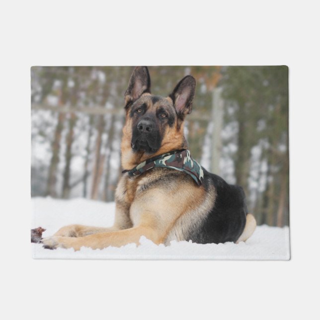 Tapete German shepherd Na Neve (Frente)