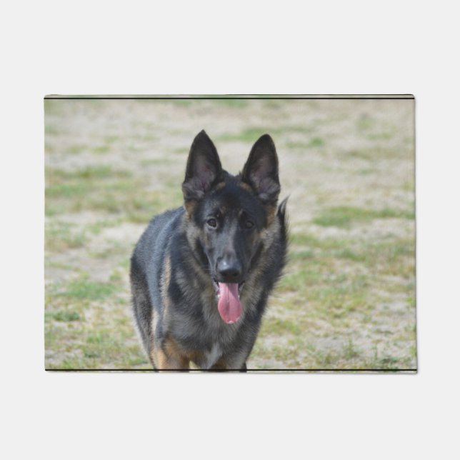 Tapete German shepherd novo (Frente)