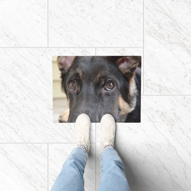Tapete German shepherd por Shirley Taylor (Interior)