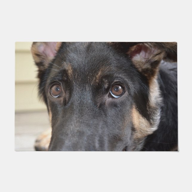 Tapete German shepherd por Shirley Taylor (Frente)