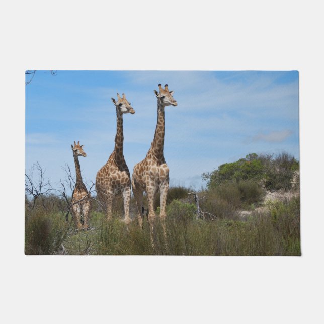 Tapete Girafas em Caminho Rústico da Savana (Frente)