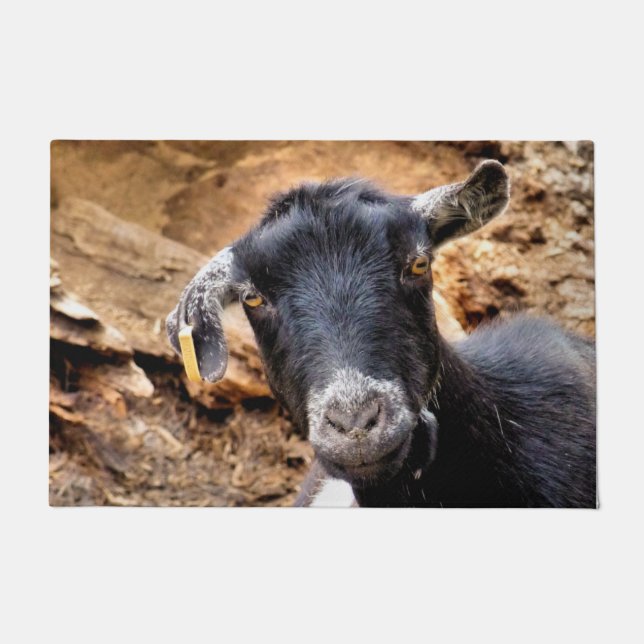 TAPETE GOTA (Frente)