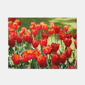 Tapete Grande campo de tulipas vermelhas