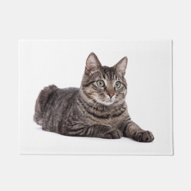 Tapete Gray Tabby Cat (Frente)