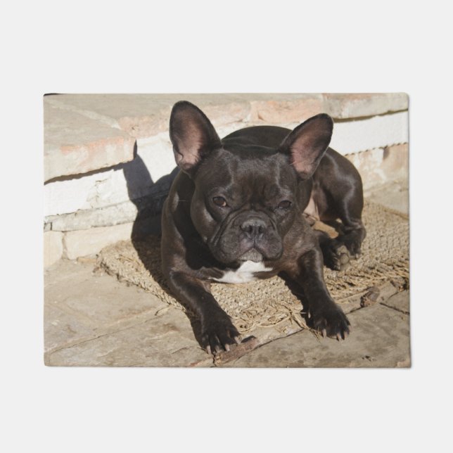 Tapete Grouchy French Bulddog (Frente)