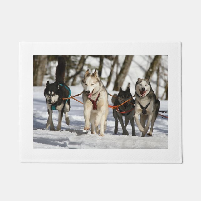Tapete grupo de trabalho de rouco siberian (Frente)
