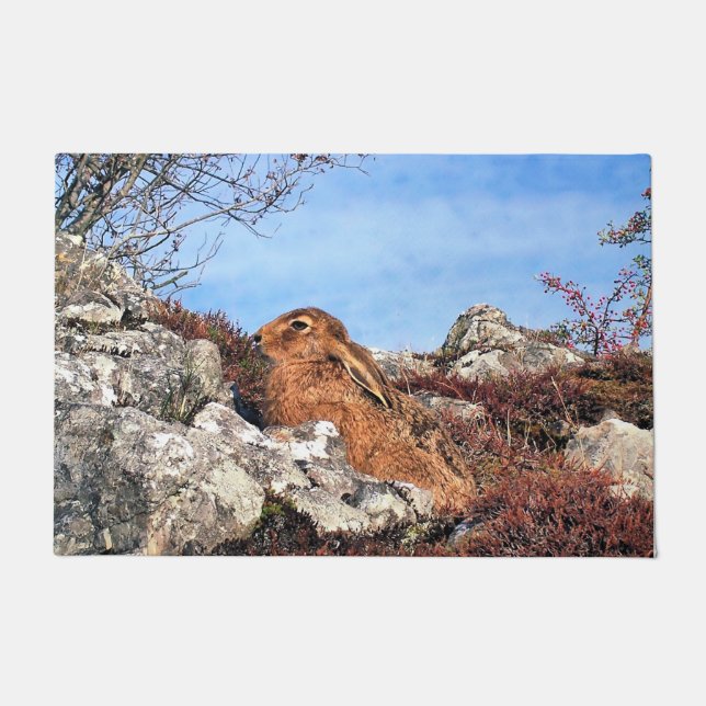 TAPETE HARE (Frente)