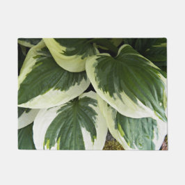 Tapete Hosta Plant Floral Variegada