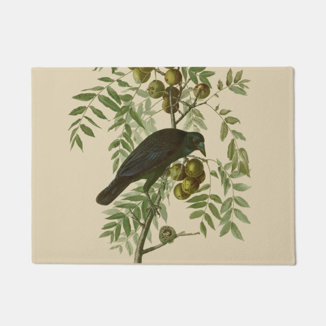 Tapete Impressão de Pássaro Grackle Roxo de Audubon Vinta (Frente)