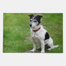 Jack Russell Door Mat - Pup Reprodutivo