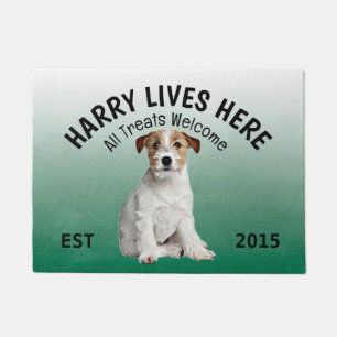 Tapete Jack Russell Terrier Personalizou a porta do cacho
