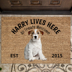 Tapete Jack Russell Terrier Personalizou a porta do cacho