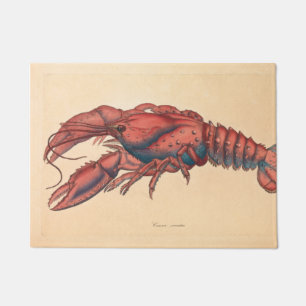 Tapete James Sowerby Sernotated Lobster