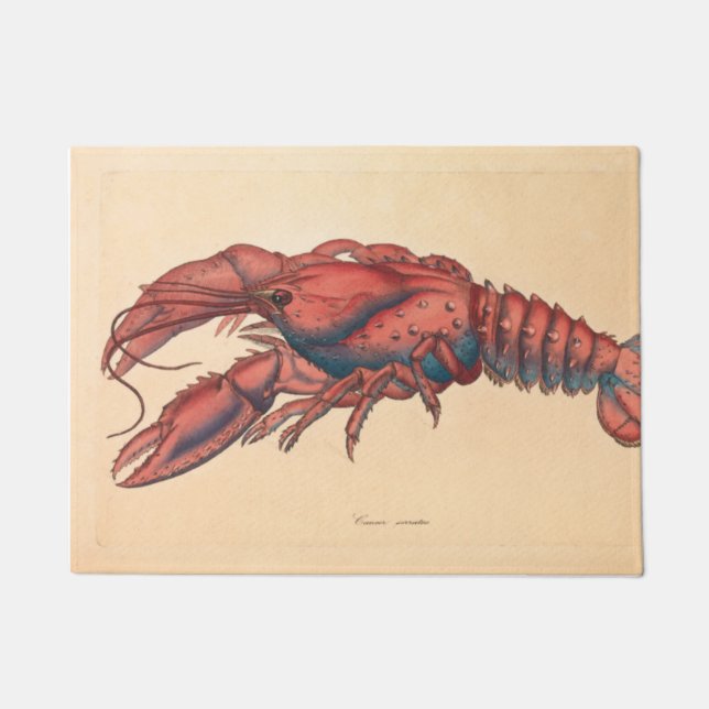 Tapete James Sowerby Sernotated Lobster (Frente)