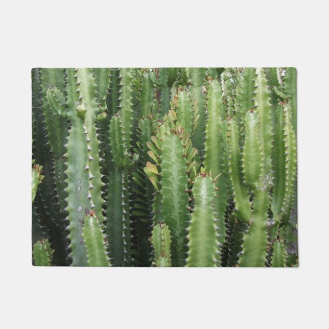 Tapete Jardim de Cactus (Frente)