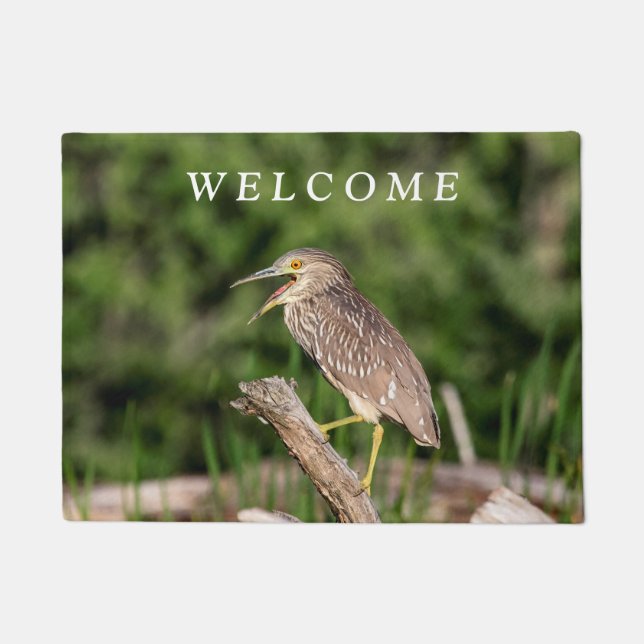 Tapete Juvenile Black Crowned Night Heron (Frente)