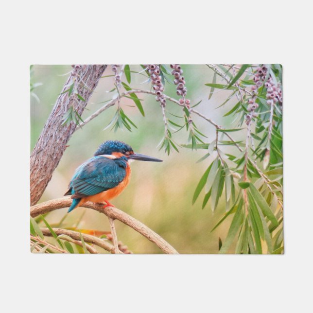 Tapete Kingfisher Perch no Branch (Frente)
