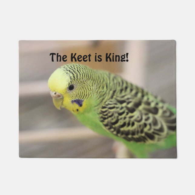 Tapete Kiwi (Frente)