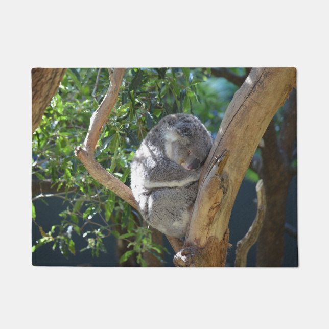 Tapete Koala do sono (Frente)