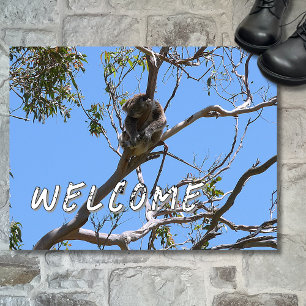Tapete Koala Nap