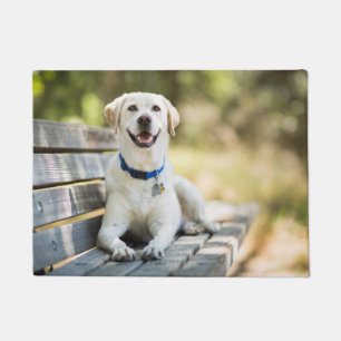 Tapete Labrador Amarelo Fica No Banco