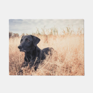 Tapete Labrador Preto De Grama Seca