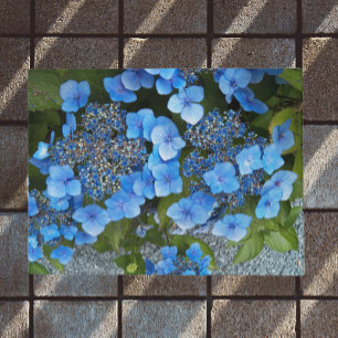 Tapete Lacecap Hydrangea Floral
