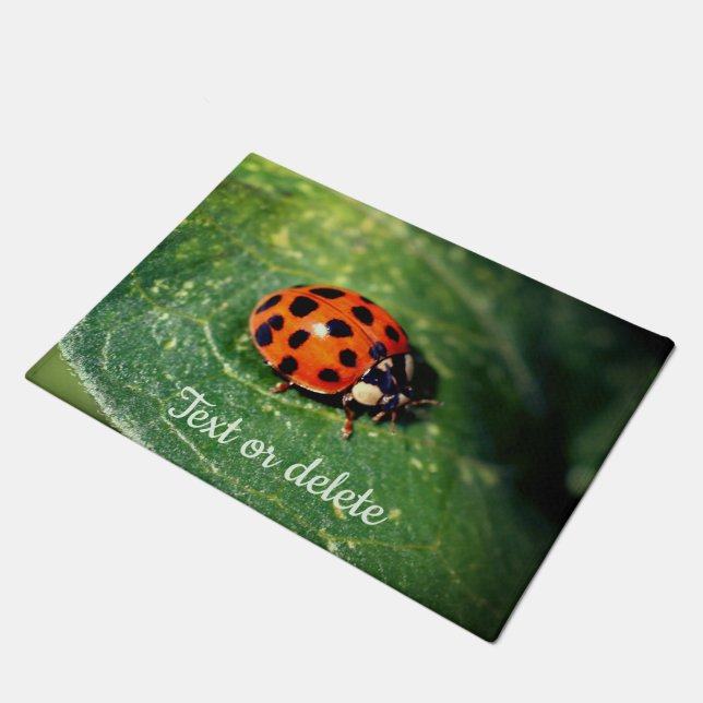 Tapete Ladybug No Folha Fechar Personalizado (Inclinado)
