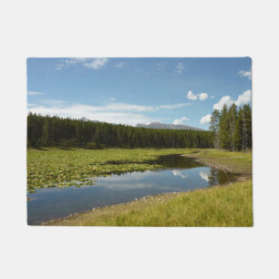 Tapete Lago dos Cisnes I no Parque Nacional Grand Teton