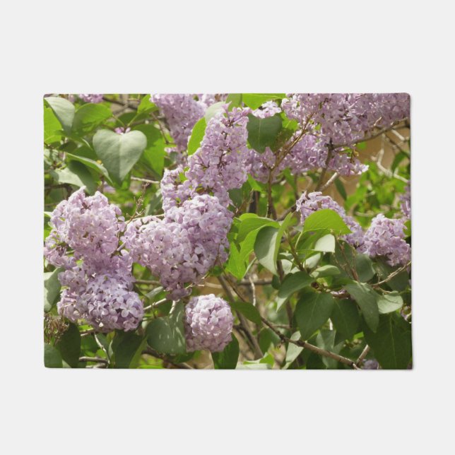 Tapete Lilac Bush Lindas Flores de primavera Roxas (Frente)