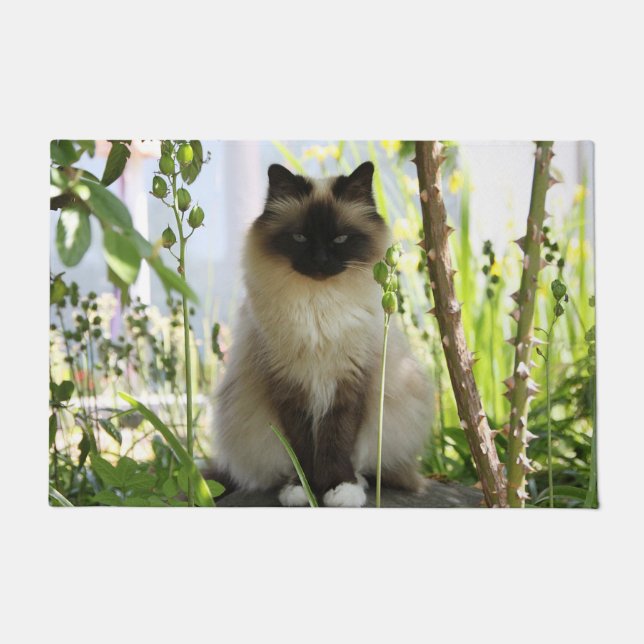 Tapete Linda Ragdoll (Frente)