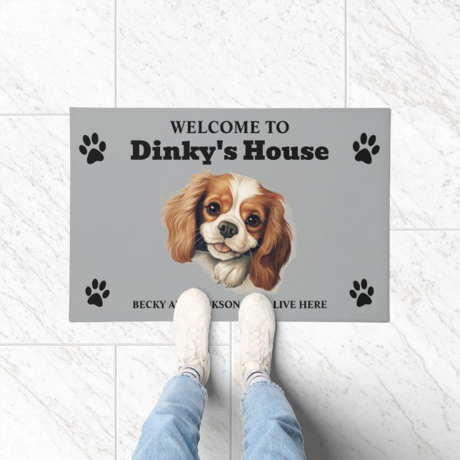 Tapete Lindo Cavalier King Charles Spaniel (Interior)