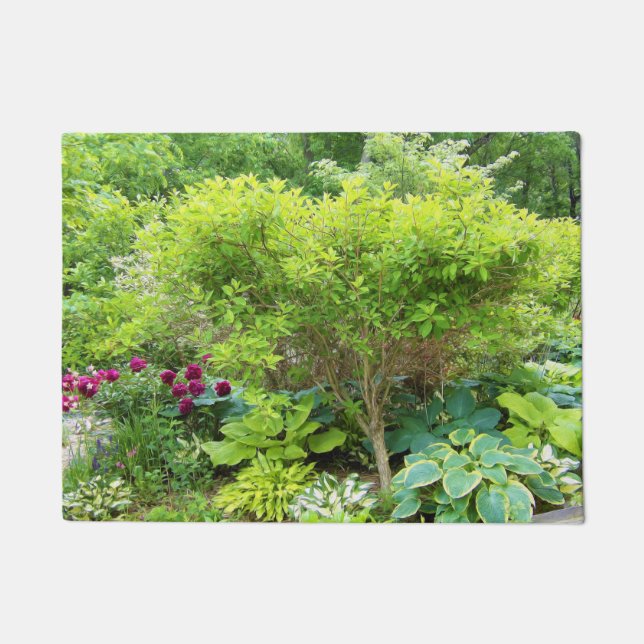Tapete Lindo Jardim Verde com Hostas (Frente)