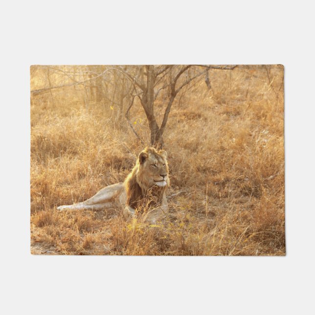 Tapete Lion Doormat (Frente)