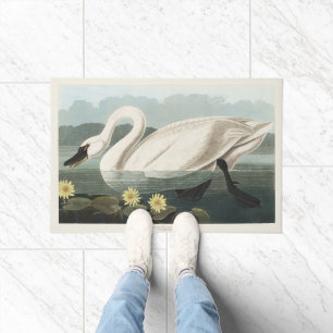 Tapete Lírio d'água Cisne Branco Audubon Vintage Arte