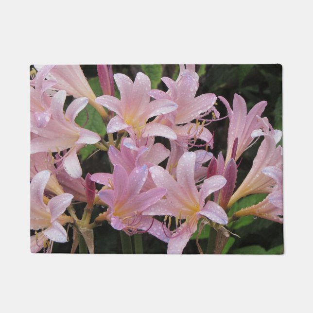 Tapete Lírios Surpresa Depois da Chuva (Frente)