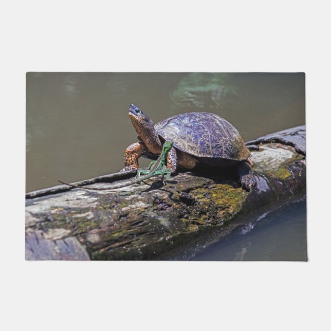 Tapete Lizard e River Turtle em Tortuguero - Costa Rica (Frente)