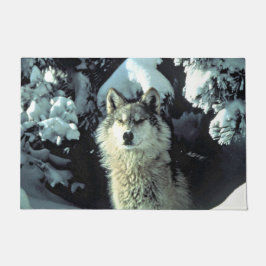 Tapete Lobo Em Caminho De Floresta No Inverno
