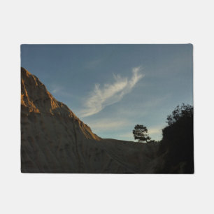 Tapete Lone Torrey Pine California Sunset Landscape
