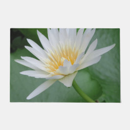 Tapete Lótus, Namaste, meditação, zen, lojas, planta, nat