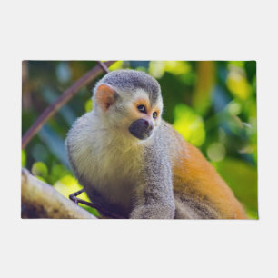 Tapete Macaco-esquilo em Manuel Antonio NP - Costa Rica