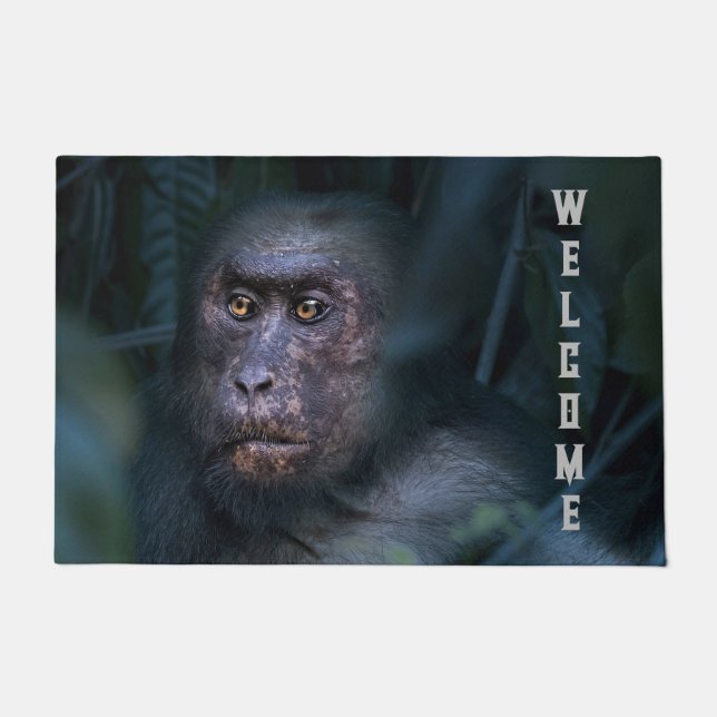 Tapete Macaco na Selva (Frente)