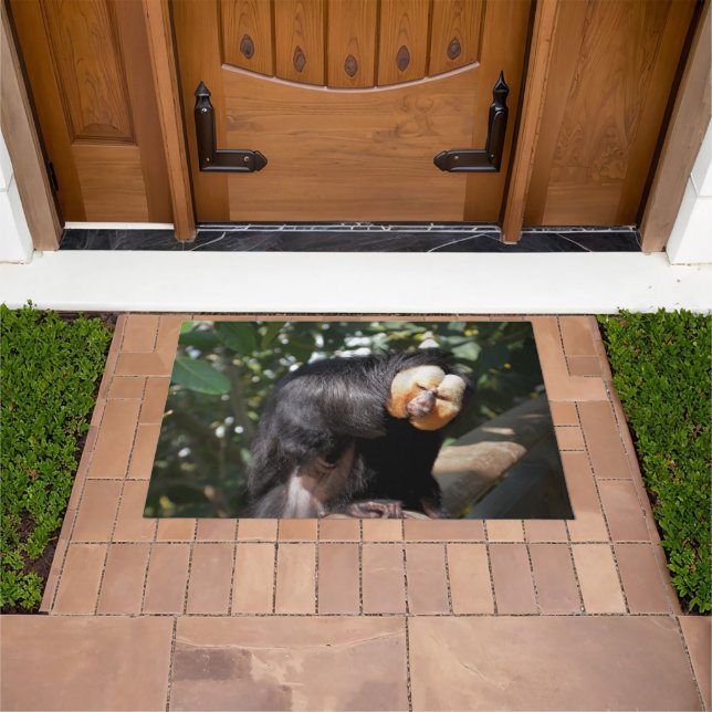 Tapete Macaco Saki (Ar livre)