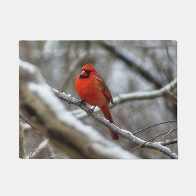Tapete Male Cardinal (Frente)