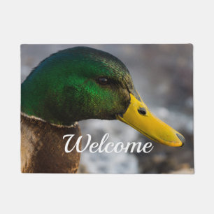 Tapete Male Mallard Portrait - Porta-Boas-Vindas