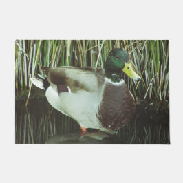 Tapete Mallard Duck Photo Lake Willife Nature Bird