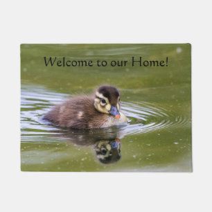 Tapete Mallard Duckling