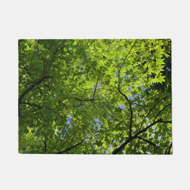 Tapete Mapeamento em Primavera (Frente)